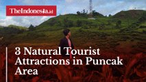 3 Natural Tourist Attractions in Puncak Area