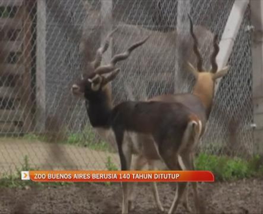Zoo Buenos Aires berusia 140 tahun ditutup