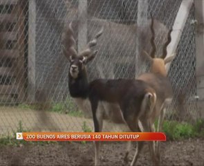 Zoo Buenos Aires berusia 140 tahun ditutup