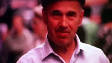 Dear Mr. Brody Movie Clip