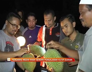 Pengamal media rasai sendiri pengalaman kutip durian