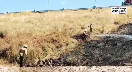 ஆழியார் அணையில் பற்றிய தீ;  சுற்றுலா பயணிகள்அச்சம்!