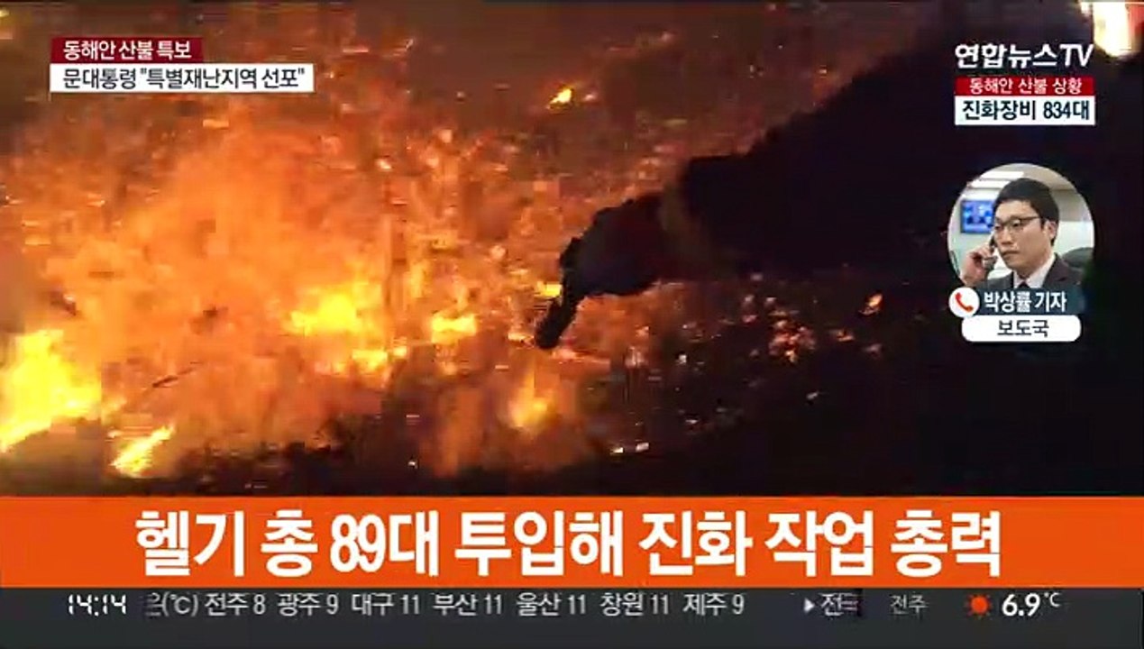 강원 산불 산림 피해 1만4,222ha 잠정 집계