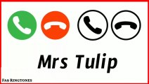 Tulip Name Ringtone | Tulip Naam Ki Ringtone | Tulip Name Status | Tulip Ringtone | Fa9 Ringtone