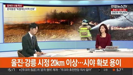 [뉴스초점] '진화 난항' 동해안 산불…앞으로 기상 변수는?