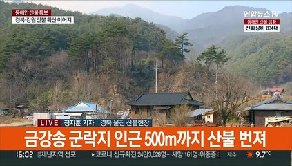 강풍특보 해제…울진 산불 금강송 군락지 등 확산