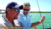 Une raie saute dans un bateau et surprend des pecheurs