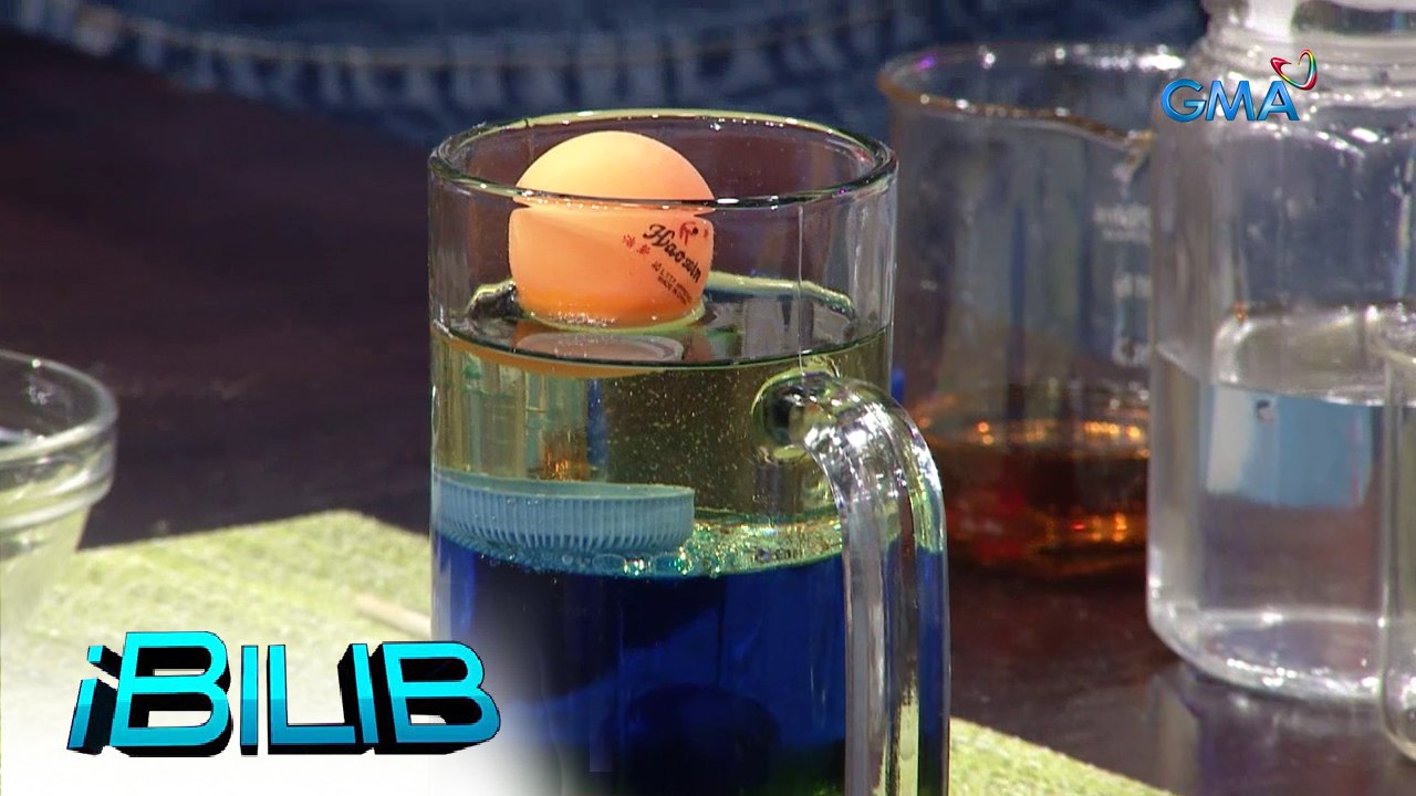 iBilib: Sapin-sapin de halo halo | Experiment Time