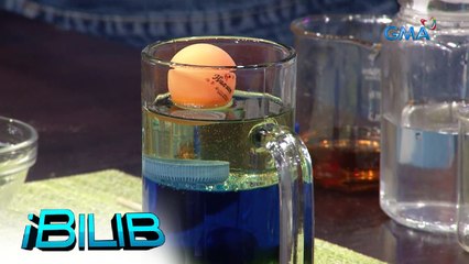 iBilib: Sapin-sapin de halo halo | Experiment Time