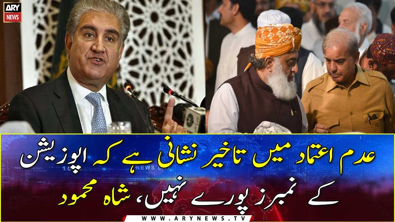 No trust move: Opposition still lack numbers, says Shah Mahmood Qureshi