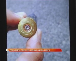 Polis minta saksi kes tembak anjing tampil