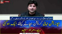 Opposition gets united to cover their corruption says, Murad Saeed