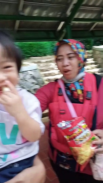 Owa agilis