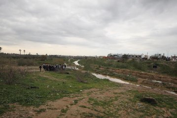 BM, Gazze Vadisi'ni 10 yıl içinde "doğa koruma alanına" dönüştürmeyi hedefliyor