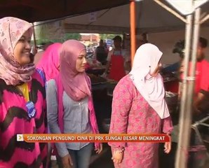 Sokongan pengundi Cina di PRK Sungai Besar meningkat