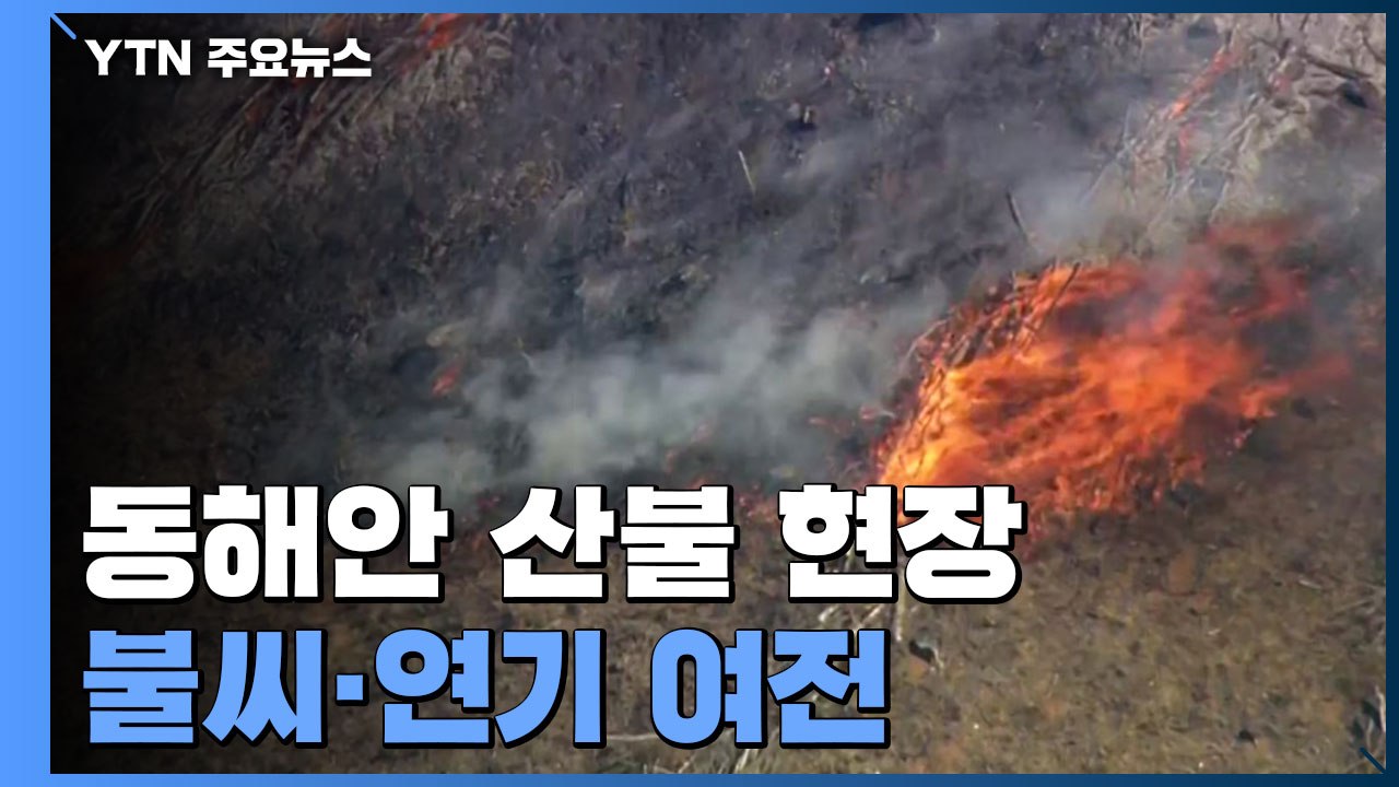 하늘에서 바라본 동해안 산불 현장..."불씨·연기 여전" / YTN