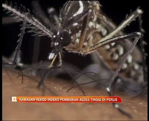 Beberapa kawasan rekod indeks pembiakan aedes tinggi di Perlis