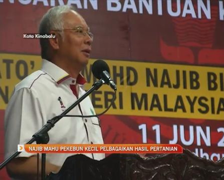 Najib mahu pekebun kecil pelbagaikan hasil pertanian