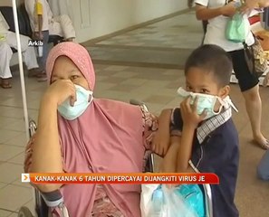Kanak-kanak 6 tahun dipercayai dijangkiti virus JE