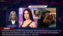 Halsey Mourns the Sudden Death of Their Dog Jagger: 'The Worst Week of My Life' - 1breakingnews.com