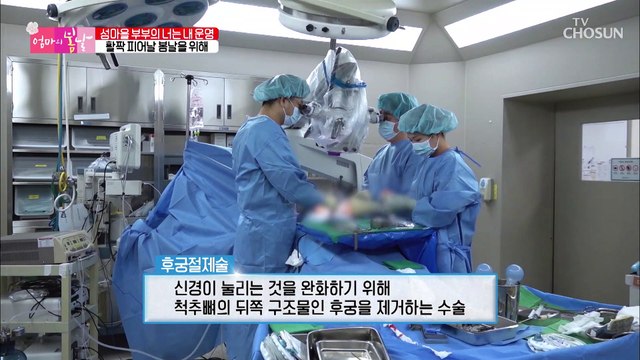 하루도 허리 펼 새 없이 살아왔던 엄마에게 찾아온 봄날 TV CHOSUN 20220306 방송