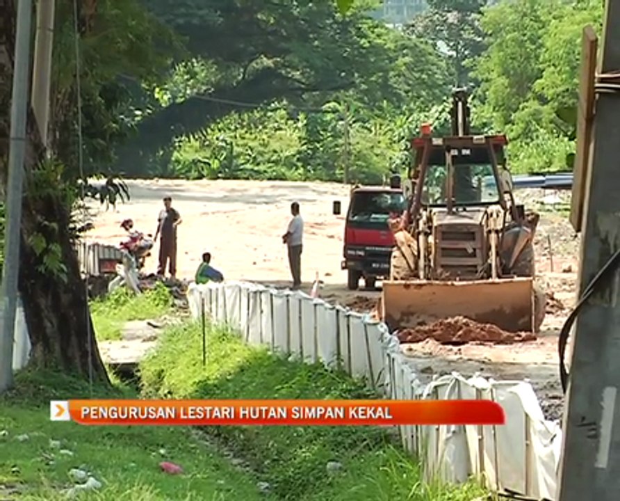 Pengurusan lestari hutan simpan kekal