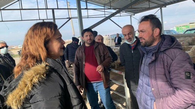 Çiftçi, CHP’li vekile dert yandı: Böyle maliyet olur mu ya! Hayvancılık bitme noktasında