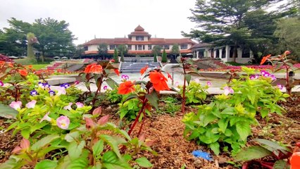 Dinosaurus Raksasa ada disini