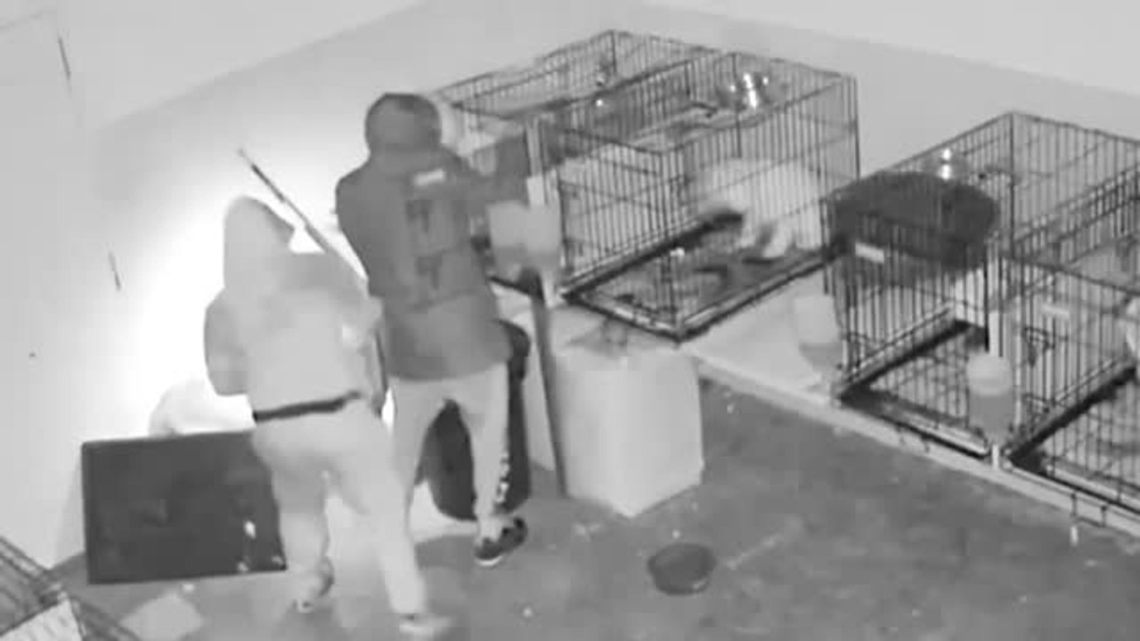 Cae una banda en Valencia por decenas de alunizajes y butrones por valor de más de 800.000 euros