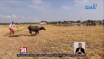 Karera ng mga kalabaw na dalawang taon ding nahinto dahil sa pandemya, nagbalik | 24 Oras Weekend
