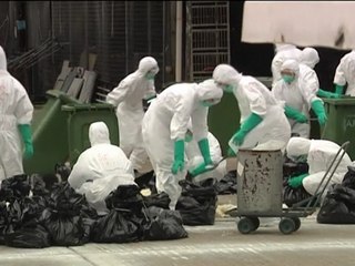 Hong Kong culls thousands of birds over avian flu scare
