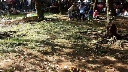 Jalan-jalan Di Hari Minggu || Keluarga DAFS