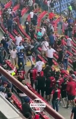 Au Mexique, une bagarre monstre éclate entre les supporters de Querétaro et de l'Atlas
