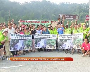 Hutan simpan Selangor berdepan kemusnahan
