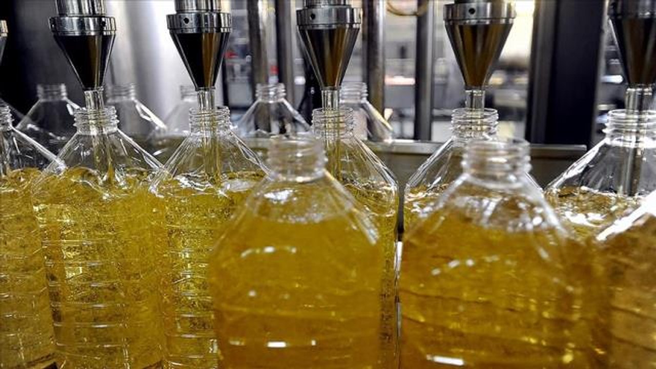 Ayçiçek yağı nasıl yapılır? Ayçicek yağı yapımı! Ayçiçek yağı neyden yapılır?