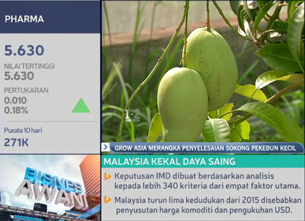 Grow Asia merangka penyelesaian sokong pekebun kecil