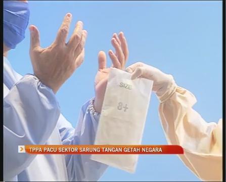 TPPA pacu sektor sarung tangan getah negara