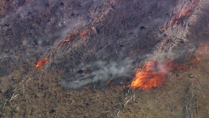 동해안 산불 나흘째 계속..."진화율 40%·야간 진화 총력" / YTN