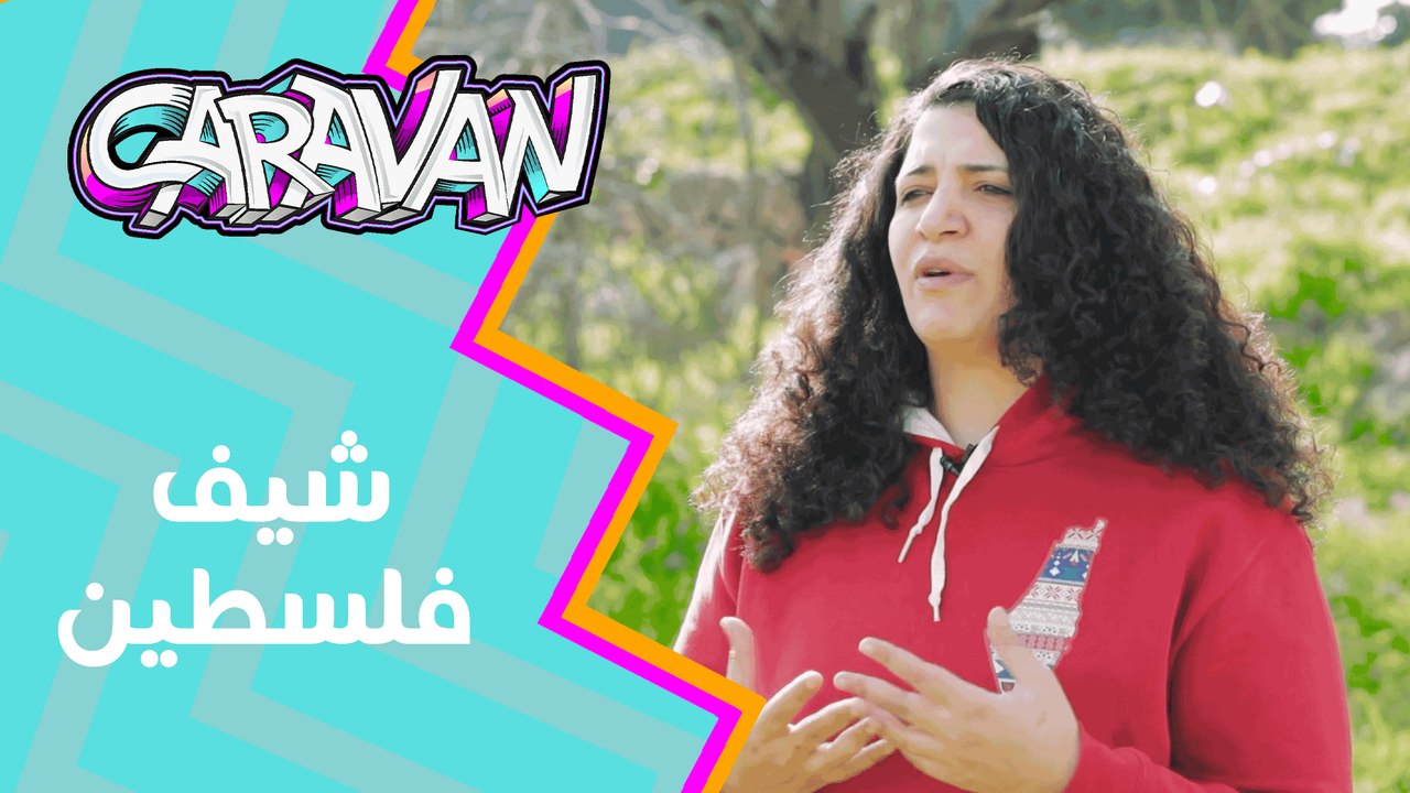 شيف فلسطين