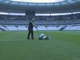 Euro 2016: British groundsmen share a passion for their pitch