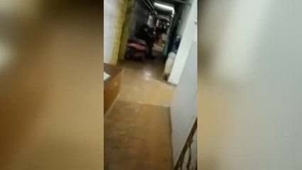 Miles de ucranianos renuncian a sus cómodas vidas para esconderse