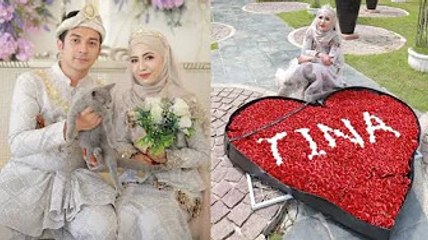 Hantaran kahwin rare! Usahawan kosmetik dapat kucing BSH dari Ukraine, si isteri terima 1,000 kuntum