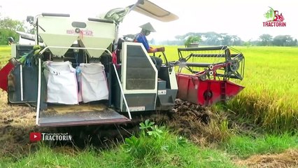 Proses Pindah Lahan Cara Mundur OPERATOR BOCAH TUA NAKAL