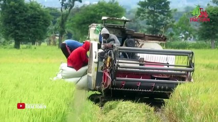 AGRICULTURAL Panen PADI XTRIM Dengan Kombi Sawah Andalan Rakyat