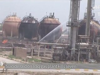 Suicide raid on Iraq gas plant kills seven: officials