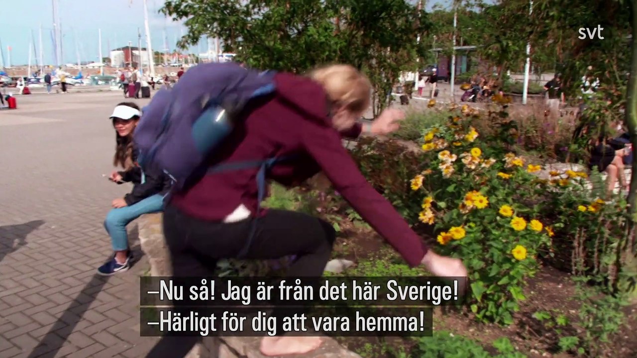 Allt för Sverige 2022 - episode 8/8 - S10E08