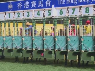 Horse racing: A Hong Kong obsession