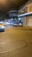 Família de capivaras passeio pelo Centro de Itajaí