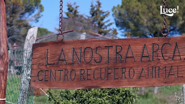 La nostra arca per salvare gli animali selvatici