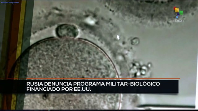 teleSUR Noticias 17:30 06-03: Rusia denuncia desarrollo de armas biológicas en Ucrania